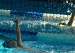 Заслуженные золотые медали и спортивные разряды первенства СДЮСШОР №1 по плаванию